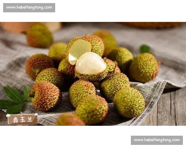 世界杯期间如何护肝保持健康避免过度饮酒和熬夜的实用攻略