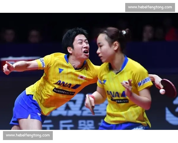 全网赛事精彩速递 体育资讯深度解析与独家报道 全网赛事精彩速递 体育资讯深度解析与独家报道